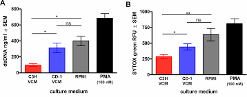 Image result for Vaginal Pooling