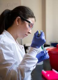 Undergraduate Honors Convocation