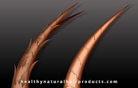 You may even find many little knots on one strand and that spells bad news for that strand. Can You Repair Split Ends On Natural Hair