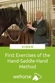 Introducing Ground Manners Teaching Your Horse To Stand Still Horses Horse Training Horse Riding