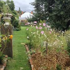 With the bird screen in place it will protect your plants. Build A Simple Cloche In Your Garden To Protect Your Vegetable Seedlings From Pests Globalnet Academy