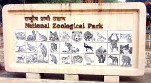 Delhi Zoo Set To Welcome Three New Species In New Year Cities News The Indian Express