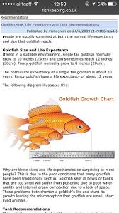 Please Critique My Goldfish Care Mumsnet
