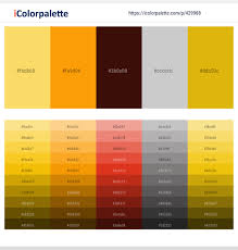 Choose a more saturated grey for living room walls and think about carrying the same colour onto your ceiling. 9 Latest Color Schemes With Light Gray And Orange Color Tone Combinations 2021 Icolorpalette