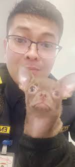 Chillers time boss looks cute and smart