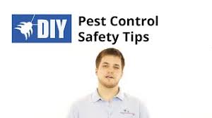 Add in an equal part of rubbing alcohol and put in a spray bottle and disperse as needed. Do It Yourself Pest Control Video Collection Domyown Com