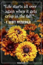 I'm too busy working on my own garden to notice if yours is greener. 25 Inspiring Fall Quotes Best Quotes And Sayings About Autumn