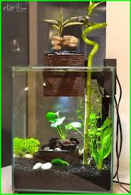 Aquarium unik ini mempunyai model yang mini sehingga bisa dipindahkan sesuai yang anda kehendaki. 10 Gambar Aquarium Ikan Cupang Unik Minimalis Baik Untuk Hias Dan Petarung Dunia Fauna Hewan Binatang Tumbuhan Aquarium Fish Tank Aquascape Aquarium