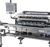 6-scale blueberry weigh & fill machine - Milbor PMC