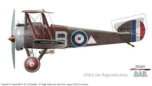 The f.1 was the main production version. Sopwith F1 Camel