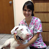 Maikas all pet grooming (5.87miles). Our Staff Courtenay Animal Hospital Merritt Island Vet