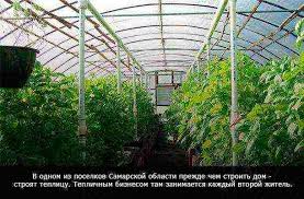 Chto Mozhno Vyrashivat V Krasnodarskom Krae S Vygodoj