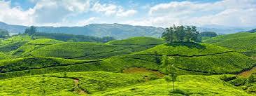 Overbury's Folly, Thalassery: How To Reach, Best Time & Tips