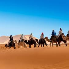 And then off you go to see a part of moroccan life that dates back centuries and gives you a whole new perspective on your marrakech. Best Morocco Desert Tours Private Tours 2021 2022 Morocco Camel Trips