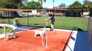 Addresses:1918 milrany ln, melissa, tx 75454 (mailing) 5796 fm 2933, mckinney, tx 75454. About Us Animal World Pet Resorts Pet Boarding Brisbane
