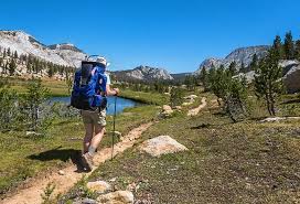 We did not find results for: California S 15 Best Hiking Trails Lonely Planet