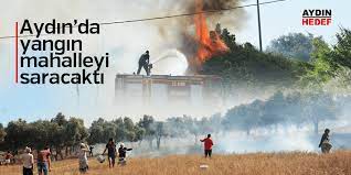 Check spelling or type a new query. Aydin Da Yangin Panigi