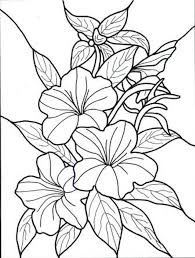 40+ tropical coloring pages for printing and coloring. Tropical Flower Coloring Pages Coloring Home
