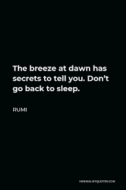 And i said well mam i dont think you got any worries about the way the country is headed. Rumi Quote The Breeze At Dawn Has Secrets To Tell You Don T Go Back To Sleep