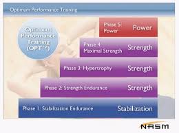 nasm chapter 14 integrated program design and the optimum