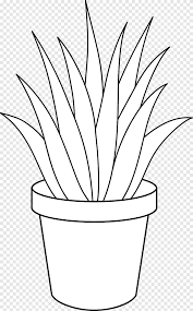 Apakah lidah buaya bisa mempercepat pertumbuhan rambut? Aloe Vera Houseplant Black And White Black And White Plants Leaf Plant Stem Png Pngegg