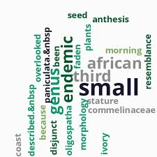 Image result for Polyspatha paniculata