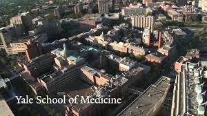 , ma philosophical theology, yale university (2003) · author has 713 answers and 1.8m answer what are your favorite study spots on yale's campus? Aerial Views Of Yale University Youtube