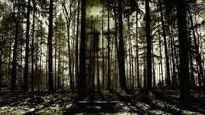 Ne doit pas être confondu avec into the forest ou à travers la forêt. Les Meilleurs Films D Horreur Sur Netflix Cinepool