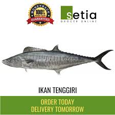 Kena dengan cara masakan memang melazatkan! Ikan Tenggiri In English