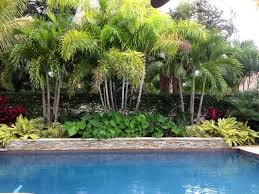 See more ideas about tropical pool landscaping, pool landscaping, tropical pool. Pin By Ghada Dergham On Tropical Pool Oasis Tropical Pool Landscaping Pool Landscaping Backyard Pool Landscaping