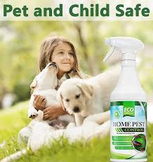 7 Best Pet Safe Ant Killer Pet Friendly Way To Get Rid Of Ants