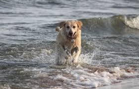 Image result for tbn:-9Agm7tP1lO3VM::static.flickr.com/52/184058849_d900c472f9.jpg