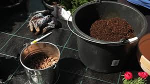 Discover the best of ivančice so you can plan your trip right. Ljetnice Za Balkone Koje Vole Susu Dom Na Kvadrat