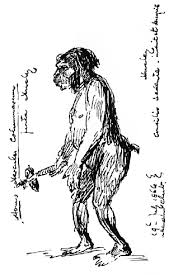 He lived in a stone structure near. Further Remarks Upon The Human Remains From The Neanderthal 1864