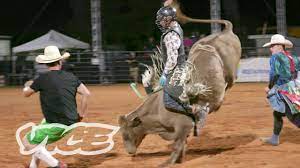 It aims to consolidate and strengthen the camel heritage in the saudi, arab and islamic culture and provide a cultural, tourist, sports. The Camels Of Arabia A Day At The King Abdulaziz Camel Festival Youtube