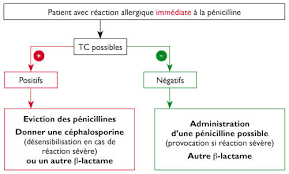 Il faut attendre une dizaine d'années avant que la pénicilline ne revienne sur le devant de la scène. Allergie Aux B Lactamines