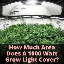 72 micromoles per second low energy use / low heat integrated led fixture uses only 40 watts How Much Area Does A 1000 Watt Grow Light Cover Grow Light Info