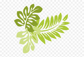 We did not find results for: Spring Leaf Transparent Png Clip Art Tropical Leaf Clipart Leaves Clipart Png Free Transparent Png Images Pngaaa Com