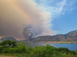 Pictures of the fire on the side of the highway, near spotted lake, show brush and trees catching fire. Juycnr9gezickm