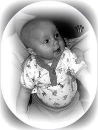 Michelle Thein's Instagram, Twitter & Facebook