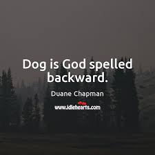 Scratch a dog and you'll find a permanent job. inspirational dog quotes. Dog Is God Spelled Backward Idlehearts