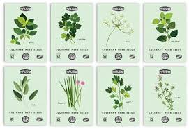 Check spelling or type a new query. Chef S Herb Garden Seed Kit Mauro Seed Co