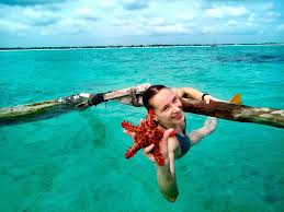 Необычно я сейчас на маврикий. Snorkeling Na Zanzibare Lichnyj Opyt Sovety Ceny