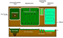 Image result for how do advanced integrated ponds for waste water treatment take advantage of solar energy?