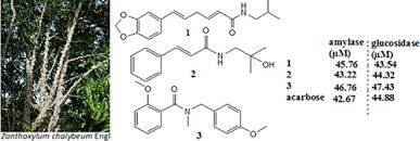 Image result for Zanthoxylum chalybeum