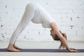 Maybe you would like to learn more about one of these? How To Modify Downward Facing Dog During Pregnancy Spoiled Yogi
