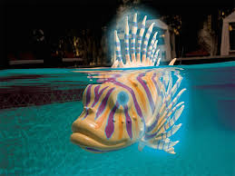 Swimming Robot Fish Toy