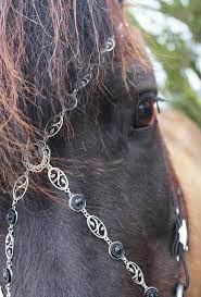 Vielleicht könntest du ein kleines loch durch den federkiel machen und dort einen stabilen faden durchziehen und den dann mit in die mähne einflechten. Gastartikel Schmuckstucke Fur Schmucke Shootings Diy Anleitung Ponyliebe