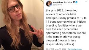 Rape Fetishist Sitting on Trans Media Advisory Committee