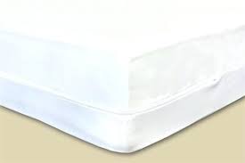 Nice Bed Bugs In Box Spring Snapshots Best Of Bed Bugs In Box Spring Or Mattress Safe Box Spring Bed Bug Cover 71 Bed Bugs Box Spring Pictures Check More At Ht